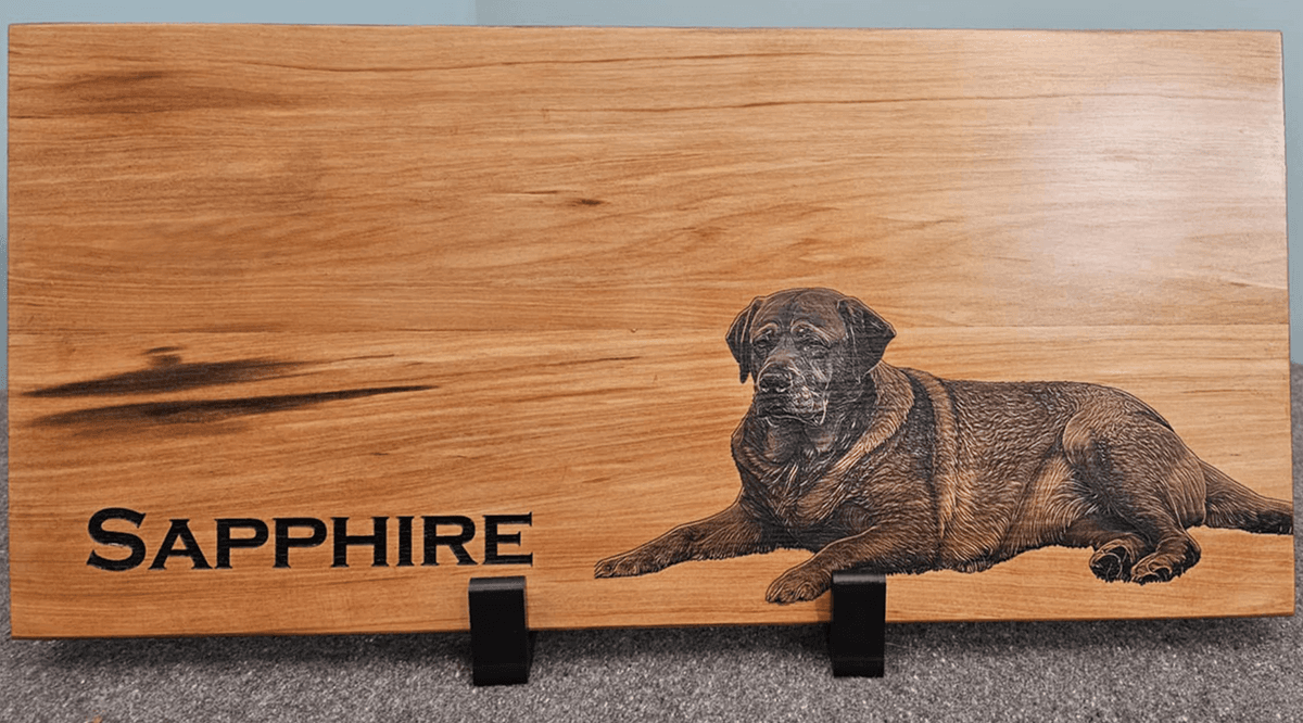 ASH Laser gallery image